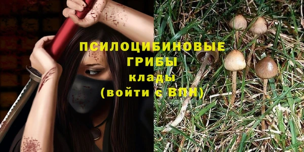соль курить ск Алзамай