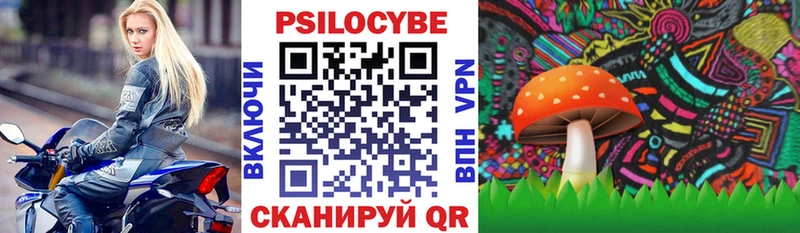 где найти Бобров Галлюциногенные грибы MAGIC MUSHROOMS